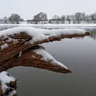 Руки развить — и можно... (фото #16957)