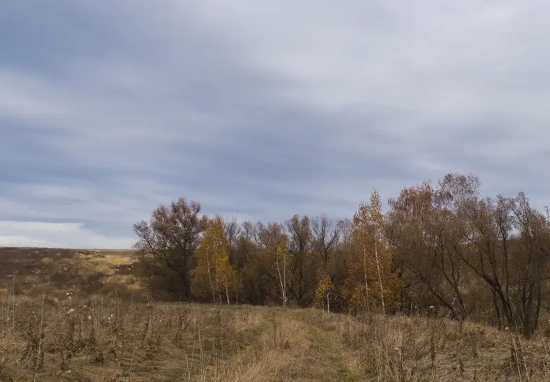 По утру пришлось искать, куда приманку бросить. К обеду ветер сделал доброе дело :)