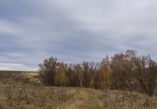 А на речке первый ледок