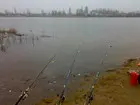 ловля мирной рыбы