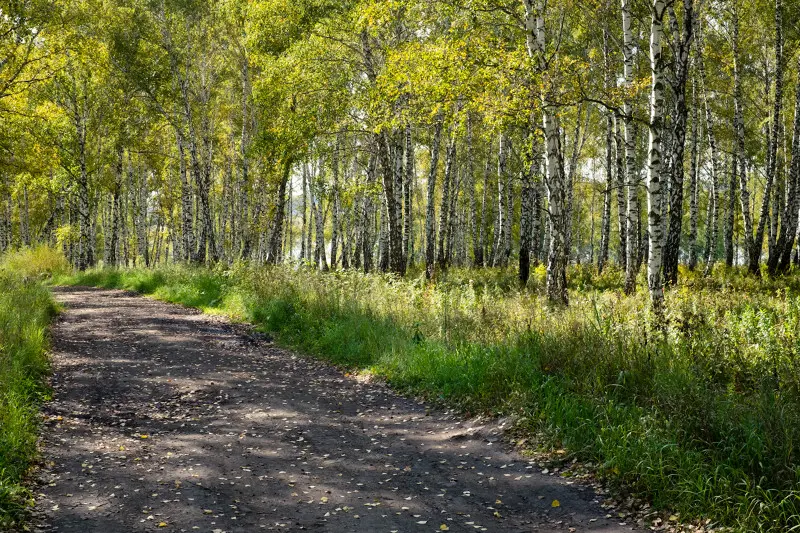 А осень за городом не только календарная