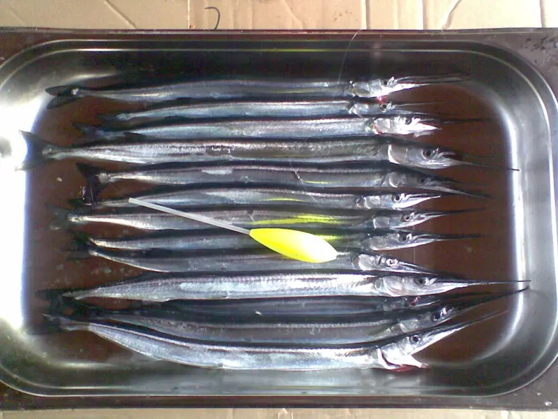 Фото о рыбалке №28342