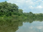В воскресенье был... (фото #25561)