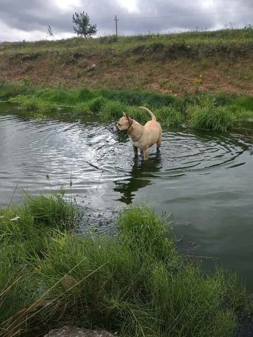 Воды конечно совсем мало, и трофейная рыба попадается не...