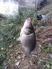 Фото о рыбалке №95017