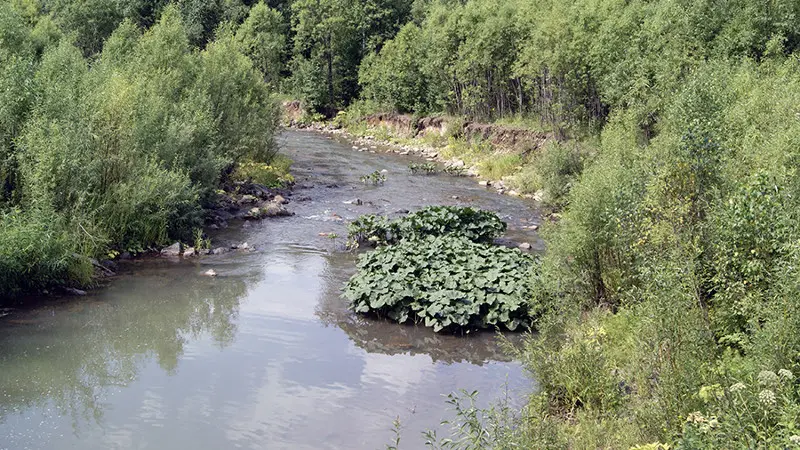 Река Мунжа