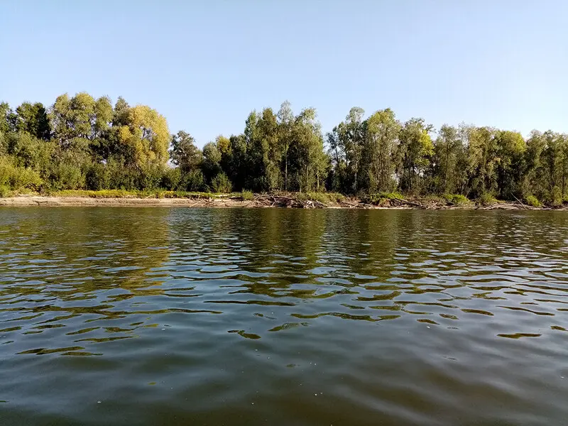 Яма, а под берегом коряги, где может скрываться хищница.