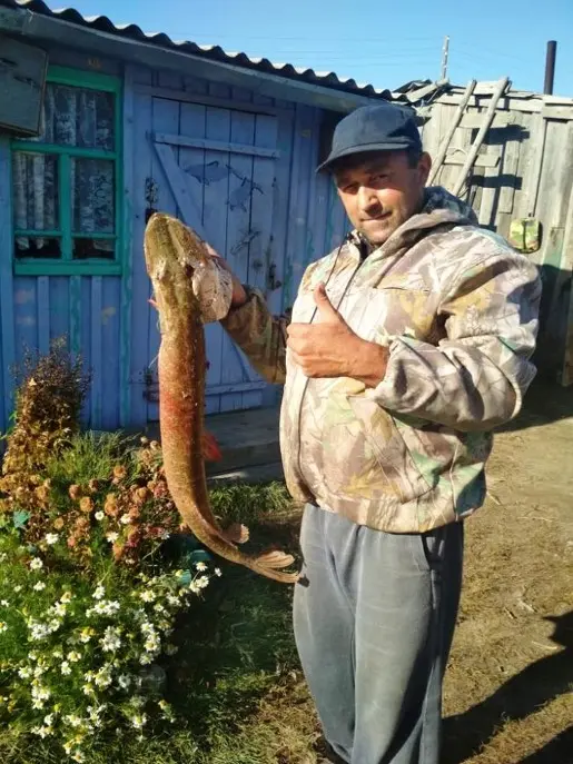 Дом рыбака Кордон. Базы рыбака Новосибирска.