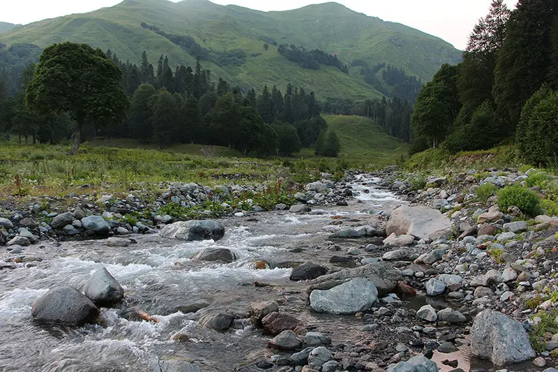 Луга в горах на высоте 1600м