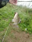 Фото о рыбалке №95020