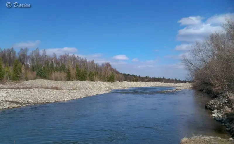 р.Быстрица, здесь водится форель