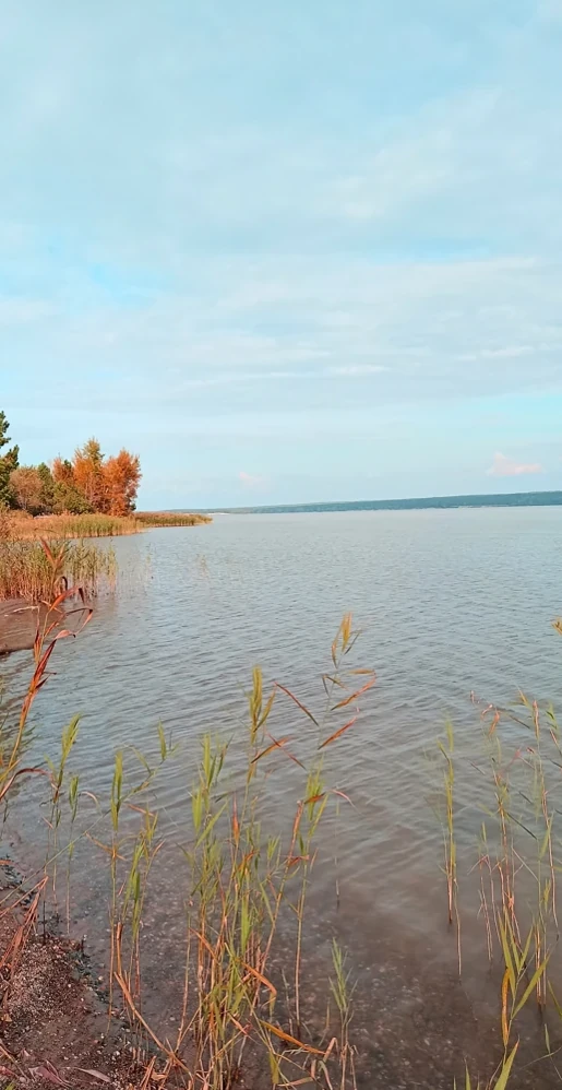 Десятый день осени