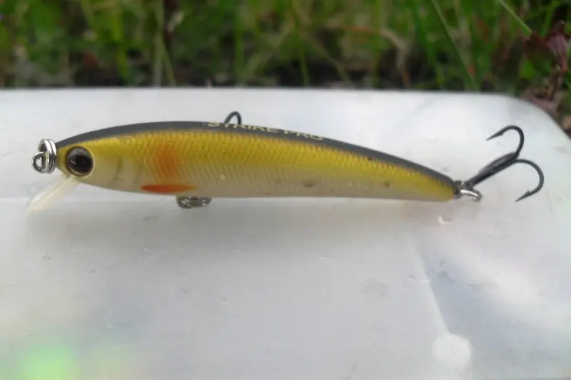 Alpha Minnow 60 (S)