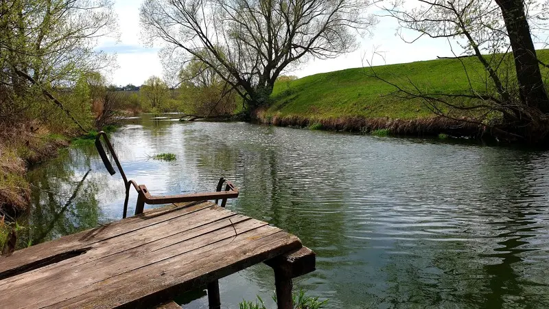 Трава в реке-не мель. Просто плыла по своим делам :)