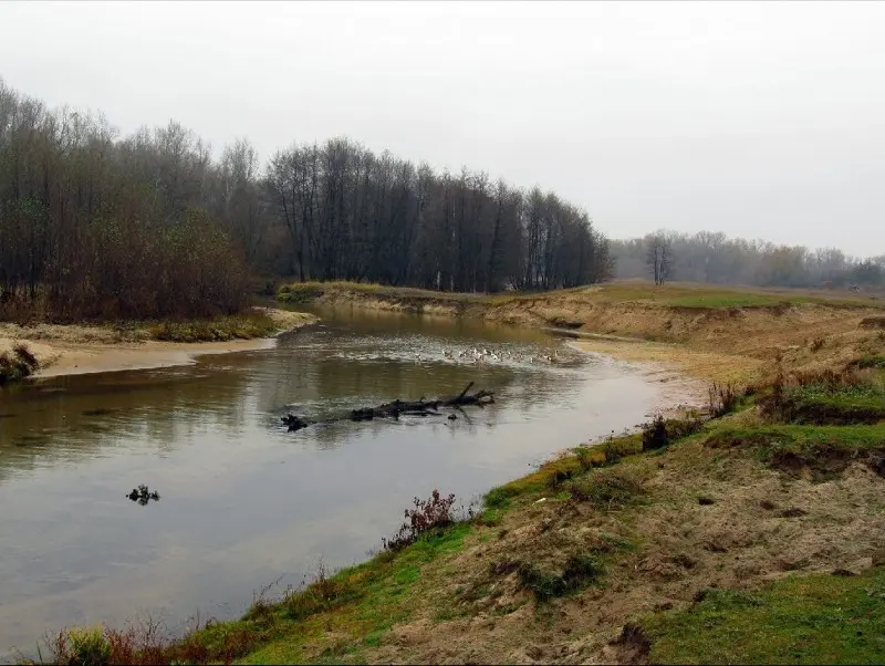 Река в районе Кумова яра