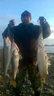 Фото о рыбалке №67125