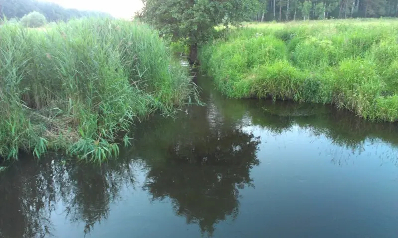 Чернавка — речушка в Люберецком районе Московской области.