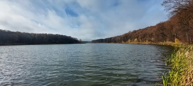 Сегодня было очень ветренно. Да и холодно с утра, несмотря на то, что я и не так уж и рано...