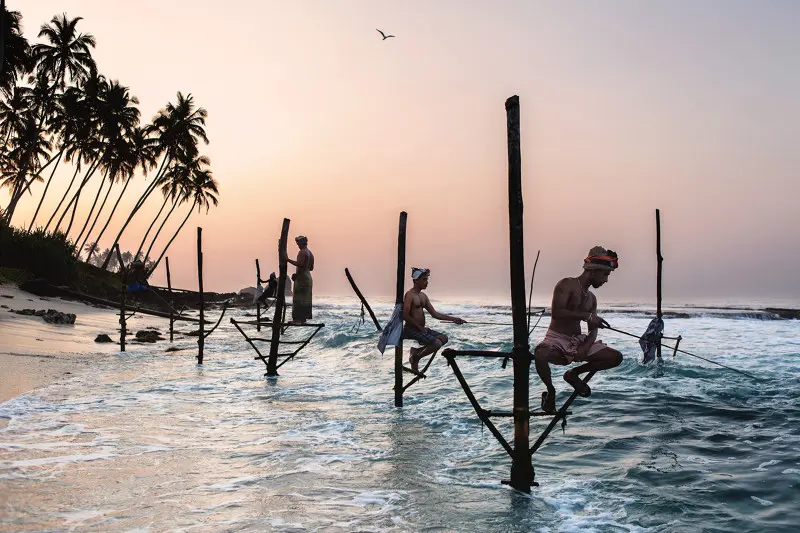 Фото отсюда https://www.behance.net/gallery/38360041/Stilt-Fishermen-Of-Sri-Lanka