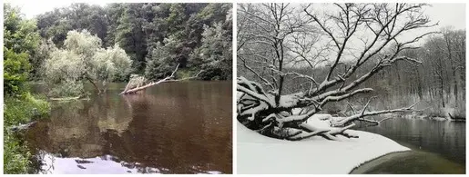 Зимнее фото — стандартный уровень, сегодняшнее — те що...