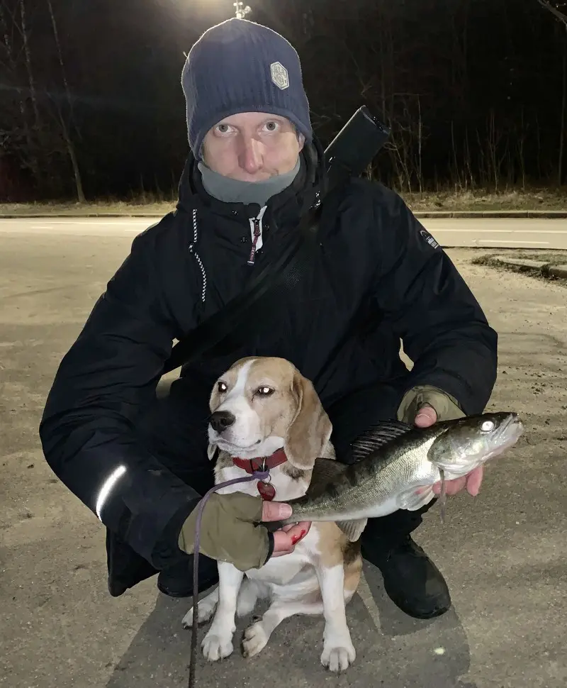 Вообще-то сегодня ждал похолодание и сильный ветер, но раз погода более менее значит идем на реку...