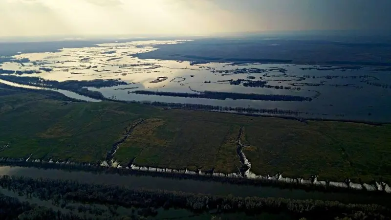 Тоненькая полоска воды межу деревьями и обрывистым берегом, это и есть Хопёр. Остальное — его...