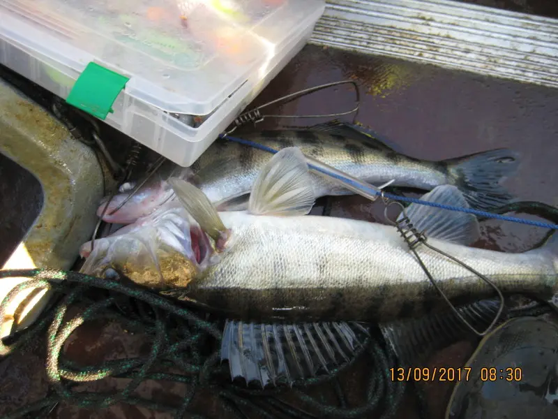 Фото о рыбалке №65714