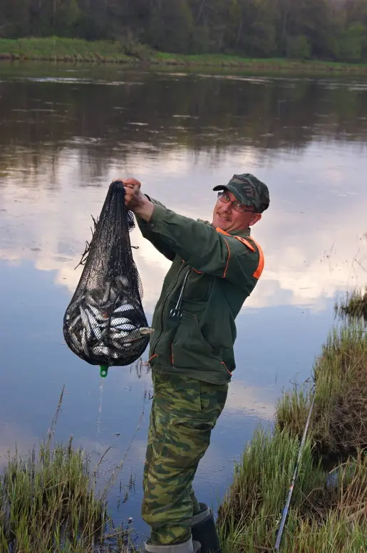 Профессор напорол уклейки