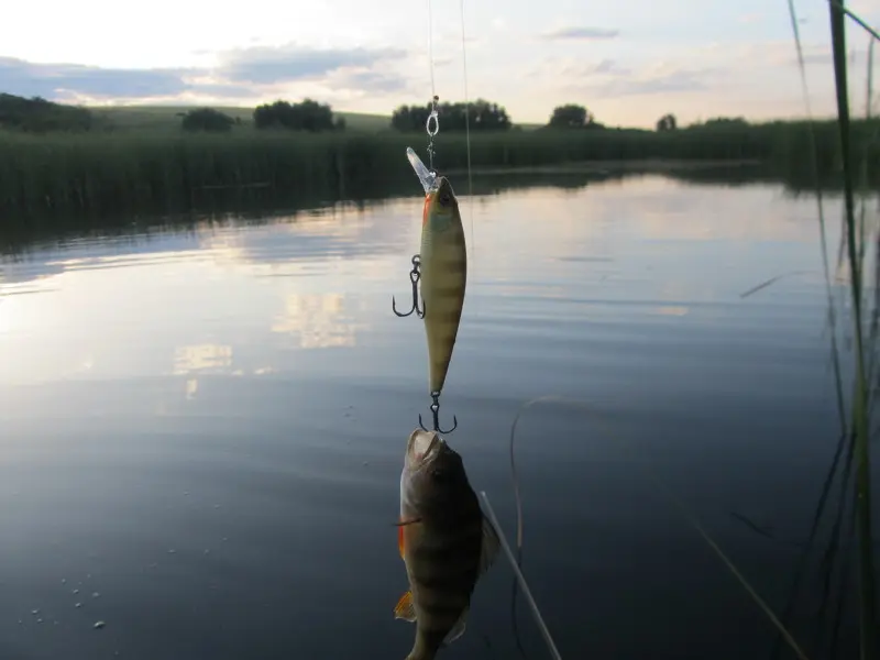 JACKALL SQUAD MINNOW80, цвет noikle gille