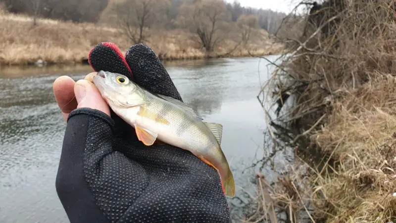 Декабрь. Жидкая вода :)