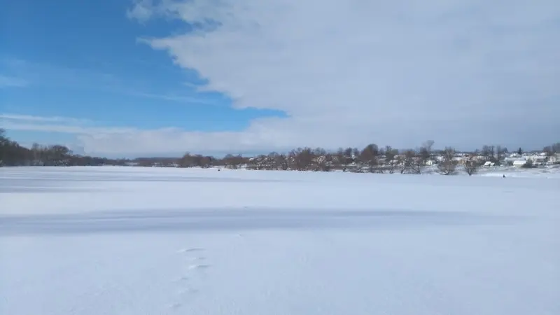 Солнце красит нежным светом!