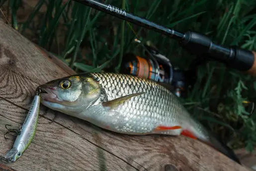 Короткая рыбалка на небольшой реке