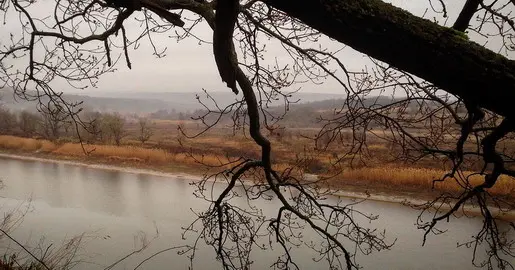 В последние дни уходящего 2017 года