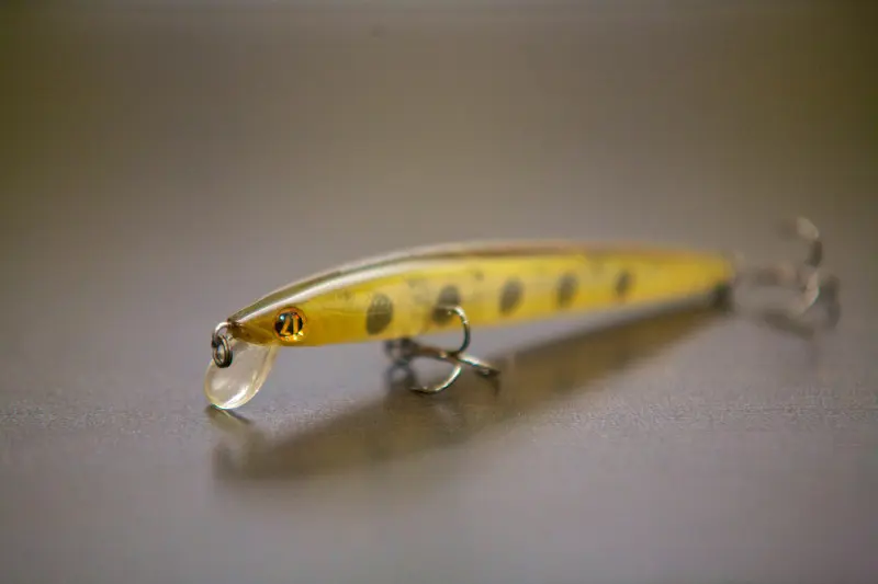 Pontoon 21» Marionette Minnow