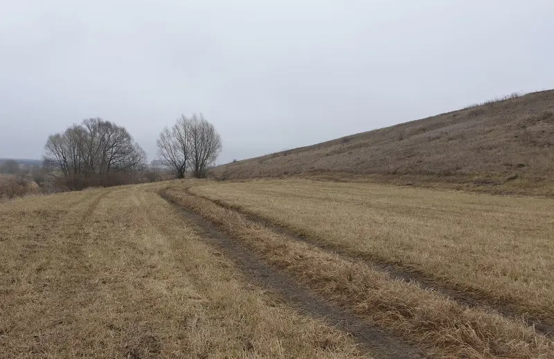 Дорога на дальний кордон.