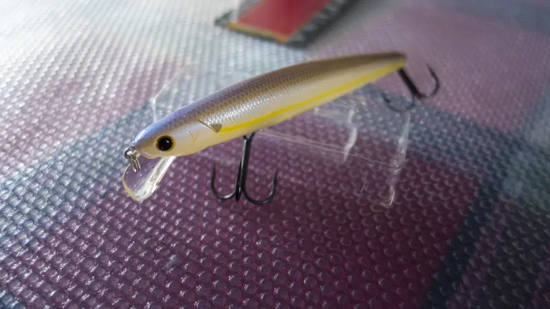 Цвет Shurtrese Shad