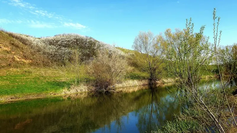 Пора цветения. Весенняя пора :)