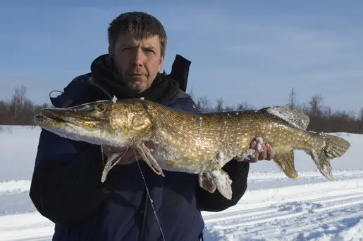 На Нижней Волге мне такие бабушки ни разу не попадались.