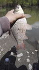 Неделю! Ровно столько... (фото #25328)