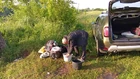 Всё там же, и снова с... (фото #25723)