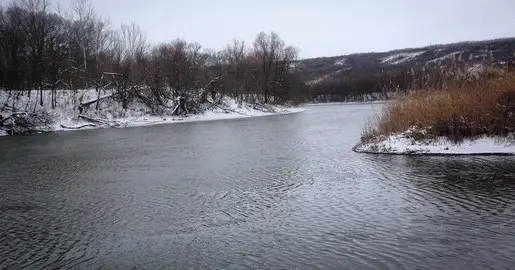 Зимнее сафари на Аксае