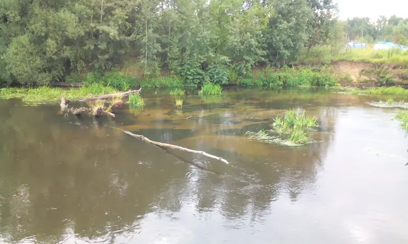 Там они — голавлики. На фотографии не видно, но они там!