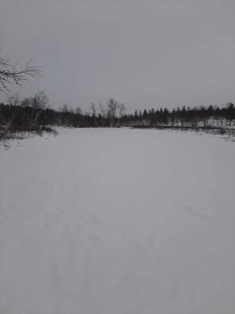 5 фото — Вот на таких небольших речках ловят хариуса на Кольском зимой.
