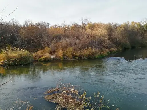 Река Медведица, октябрь