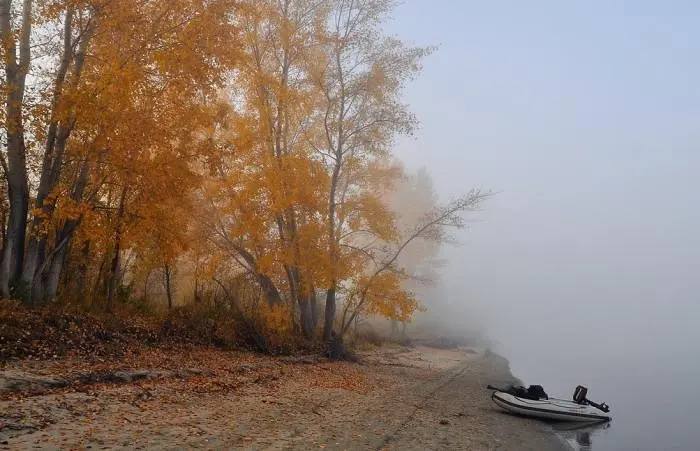 Осень на Оби. Фото Игоря (ГИВ)