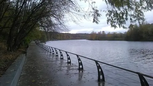 Осень пришла в Москву.