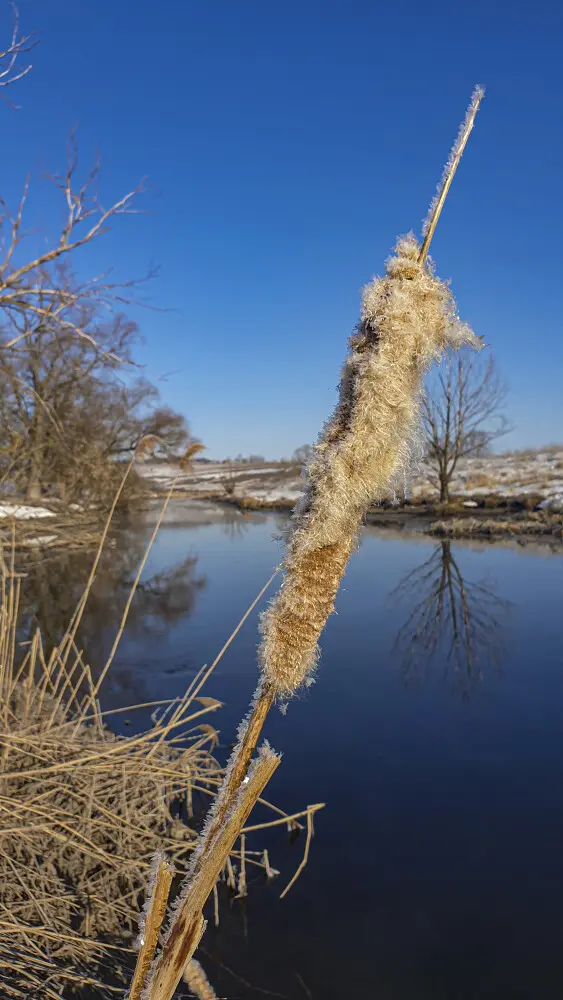 Морозно :)