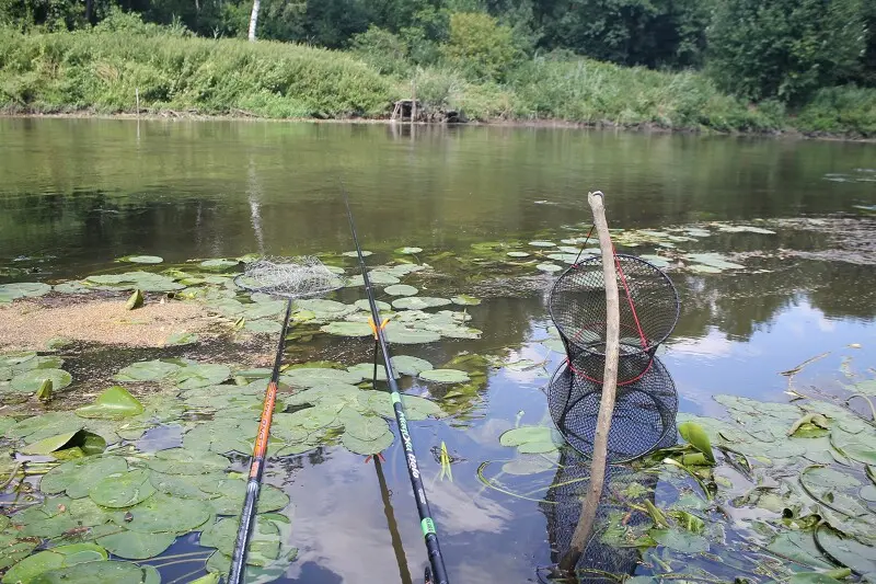 Очень клевое место. Во всех смыслах этого слова.