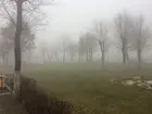 Silent Hill по всей... (фото #3582)