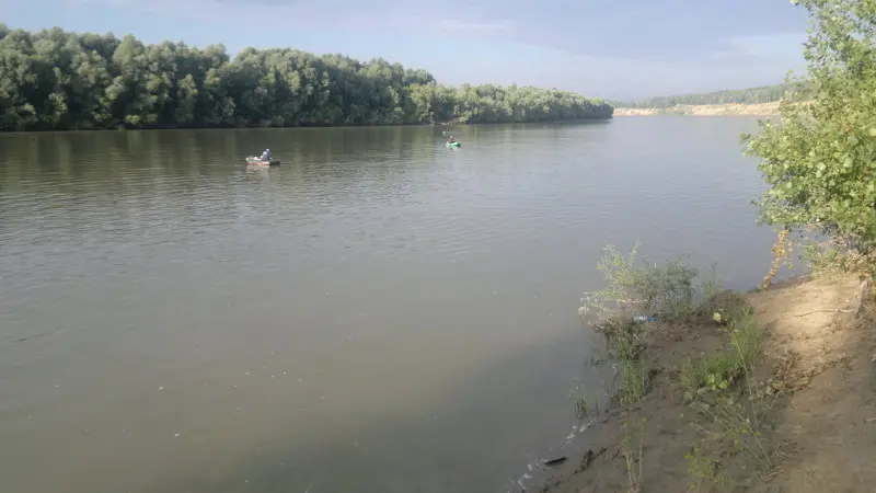 А все рыбаки душат фанеру с лодок.